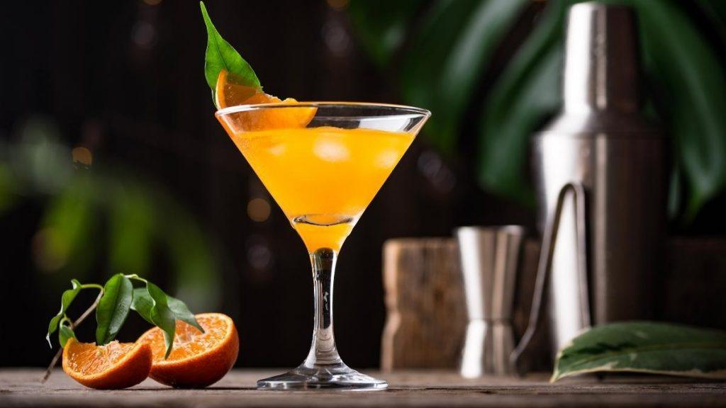 Close up front view of a Bronx cocktail in a martini glass, garnished with an orange wedge, against a dark backdrop with torpical foliage 