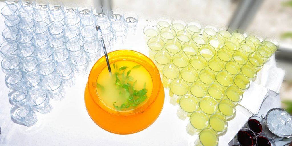 Top view of a batch of Champagne Punch, flanked by a variety of serving glasses arranged in triangular patterns on a white table