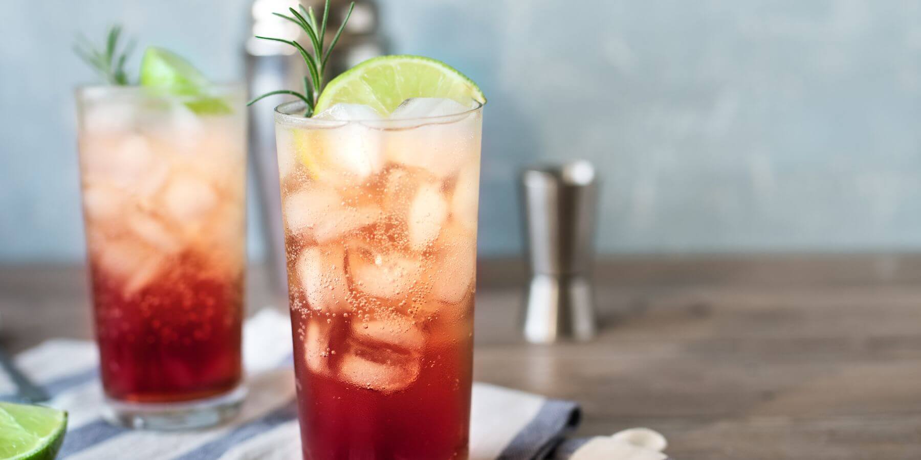 Sloe Gin Fizz Ingredients + Recipe The Mixer UK