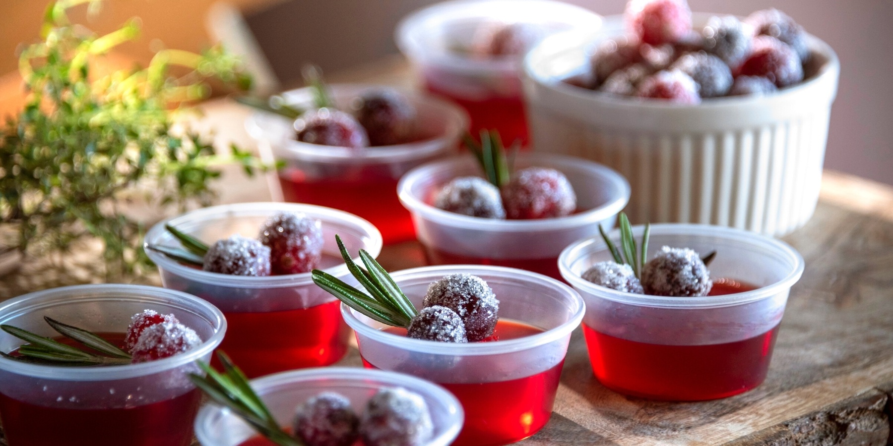 Best Jello Shot Recipe