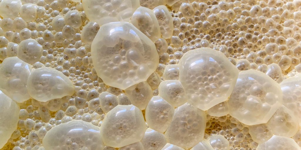 Bubbles of fermenting yeast