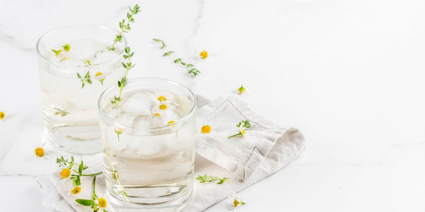 13 Beautiful Elderflower Cocktails (2024) The Mixer UK