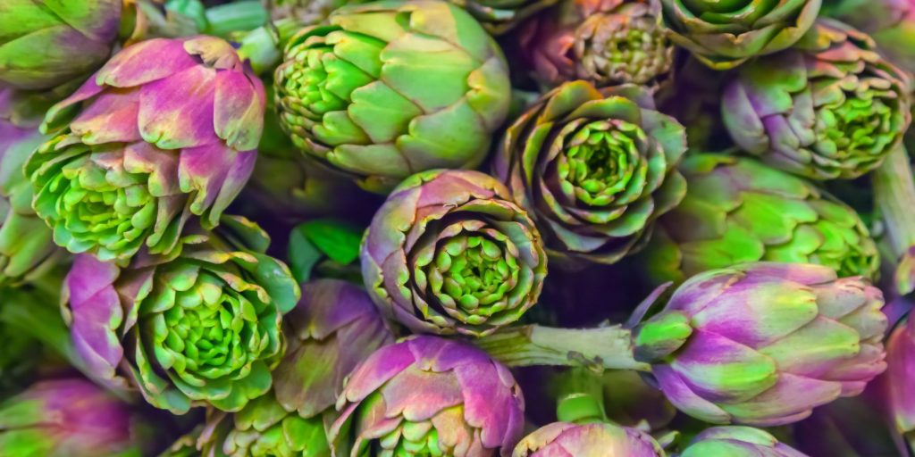Close-up of a bushel of green and purple artichokes
