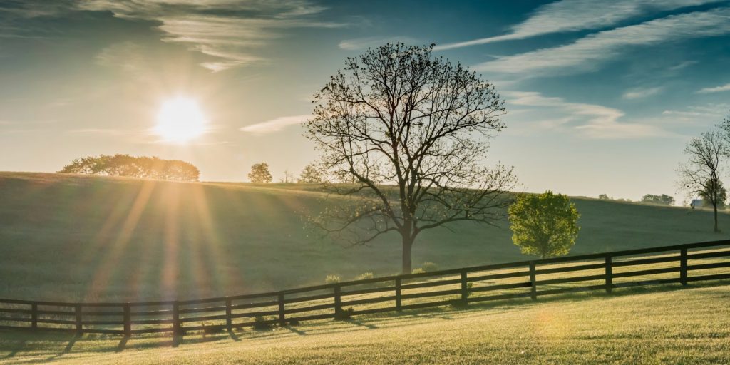 A large tree in a Kentucky field with a fence and the sun shining through the clouds.