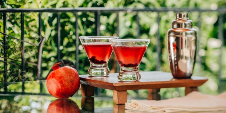 Close up of a pair of Pama Martinis in light bright ourdoor setting on a patio with greenery in the background