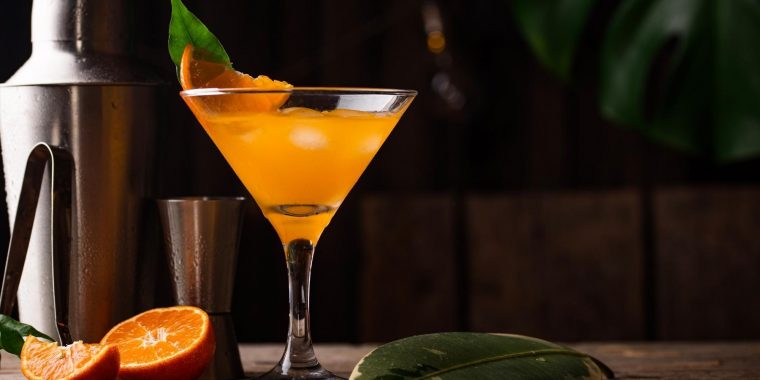 Refreshing orange Bronx cocktail in martini glass