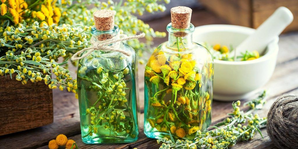 Two bottles of liquid being infused with tarragon and flowers