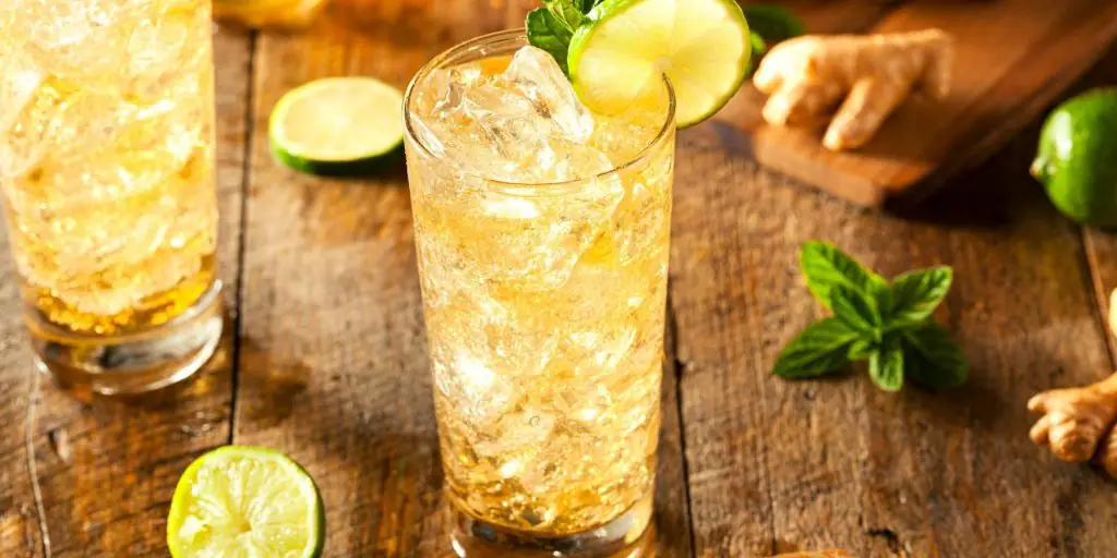 Glass of vodka with gingerbeer and lime and mint garnish