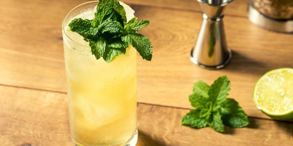 Gin Gin Mule Cocktail with mint garnish