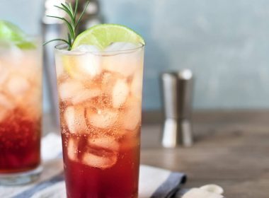 Sloe Gin Fizz Cocktail Recipe