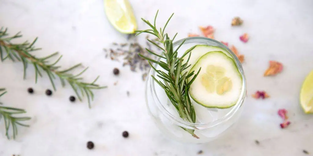 Gin and tonic with garnishes