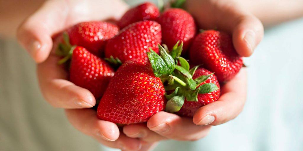 Extrreme close up of a person holding a handful of fresh strawberries in a light bright home environment
