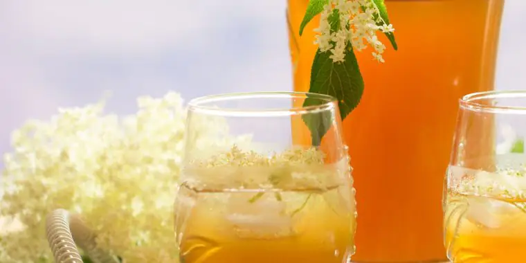 Tasty Elderflower Cocktail Recipes that Are as Pretty as a Picture