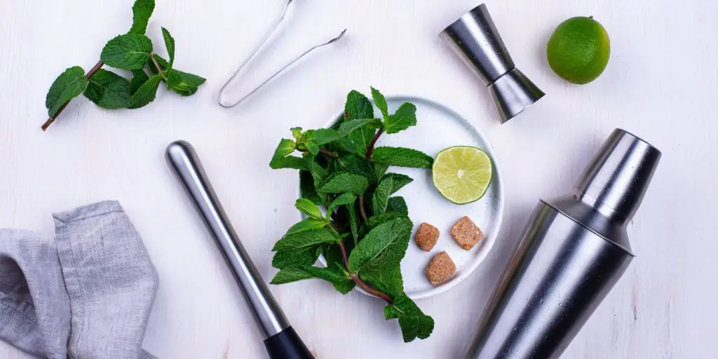 A top view of essential tools for making & serving big batch cocktails on a white backdrop