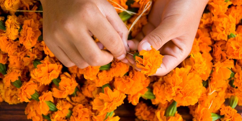 Close up of a person's hands stringing together marigolds in a garland at a Day of the Dead celebration