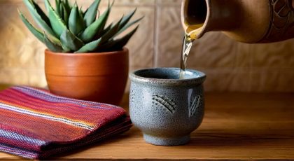 Agave Spirits & Agave Cocktails: Everything You Need to Know