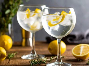 Gin and Tonic