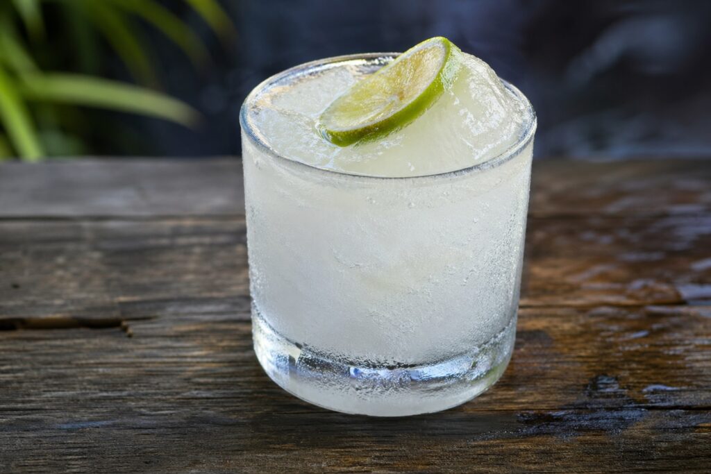 frozen gin and tonic served with a slice of lime as garnish